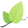Leaflet